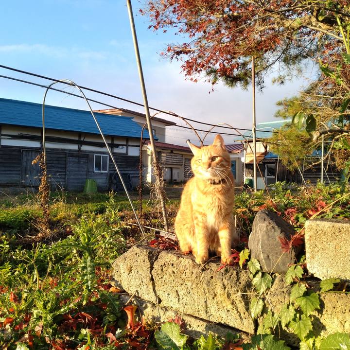 E8d12793 856f 4acd a76f c8b841271942 1668378140412