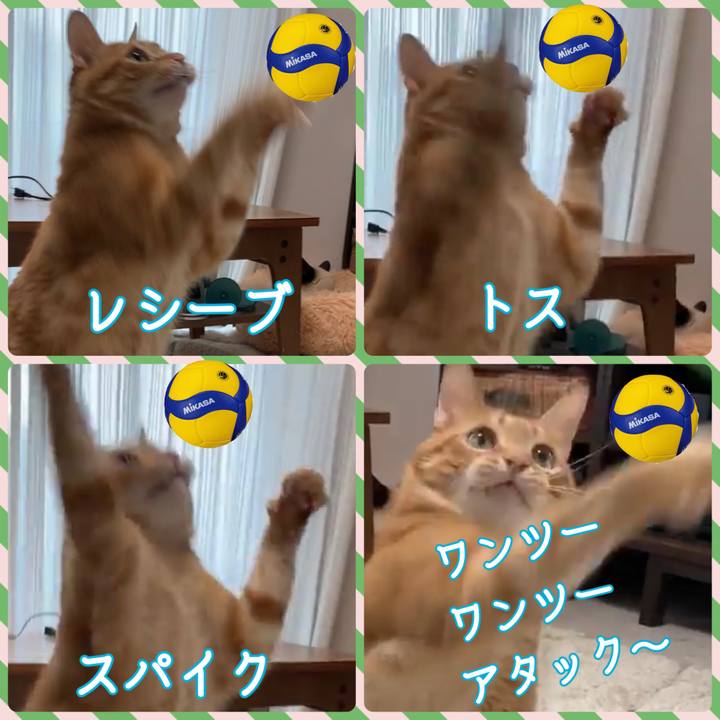 E8d14675 c9bc 4749 87ad a9ddd33669c1 1640611825912