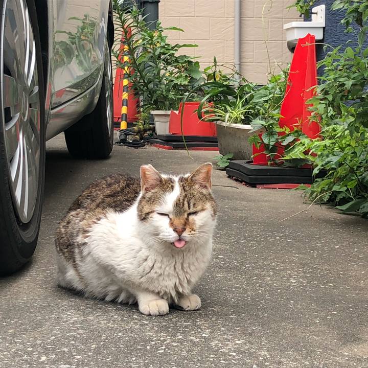 E8d147f7 e6c5 48b0 9f33 de5333aa25c0 1589721747117