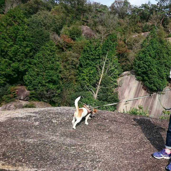 E8d180bc 4266 48d5 86b6 f09a88f107c1 1539697219672