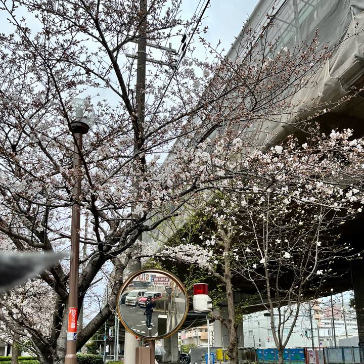 E8d19a30 eb3a 4a85 bdea 80b242f5fea0 1648251990093