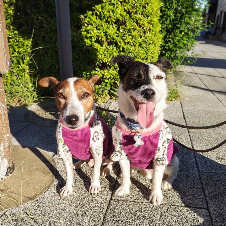 E8d1dcfb de8c 4880 9346 004799690bfe 1726264495410