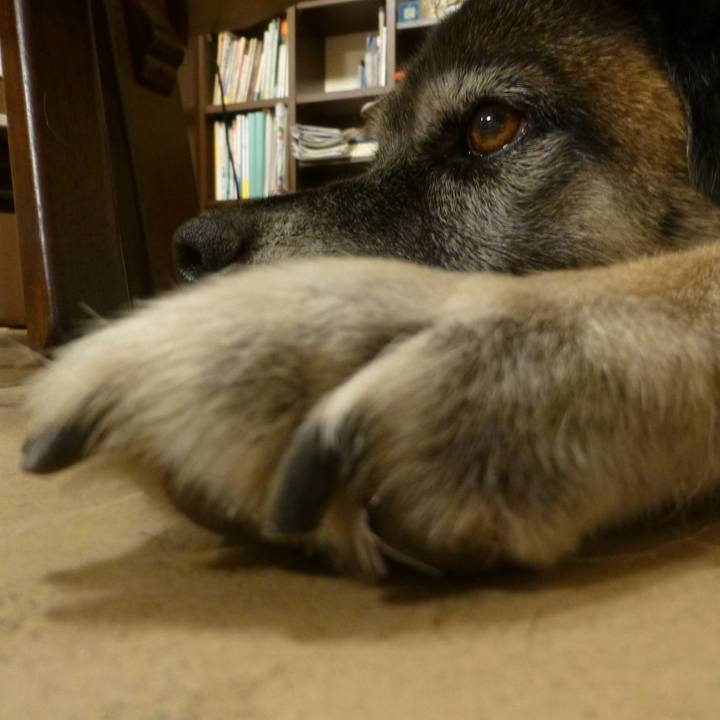 E8d1ee8e 735c 4a5b 823a 673ecf329e99 1613607754745