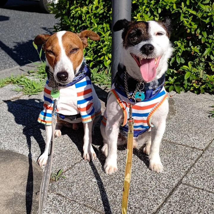 E8d1f657 1a61 4d97 ab95 41ae357d5842 1656111050352