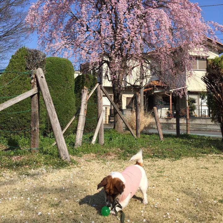 E8d23390 55a6 4652 ac10 c61960b9b824 1521944668796