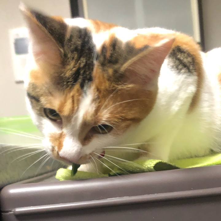 E8d272b2 9c52 4553 91c1 f520f13478bd 1581428340010