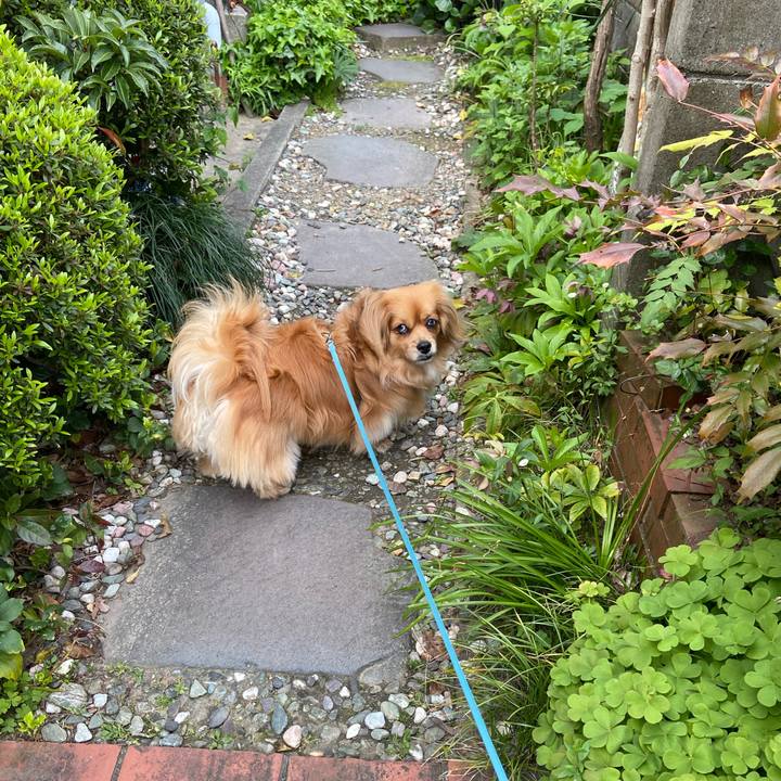 E8d27307 7638 4a88 98a2 5574469e30eb 1588025545188