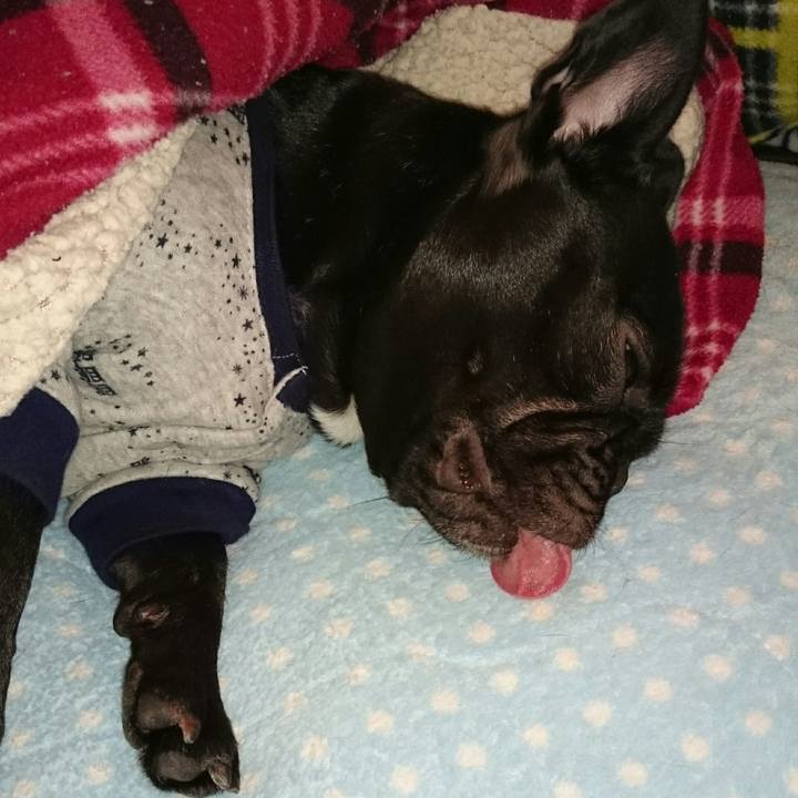 E8d28019 f707 4db2 ba40 6ed1ab27c027 1509573561415