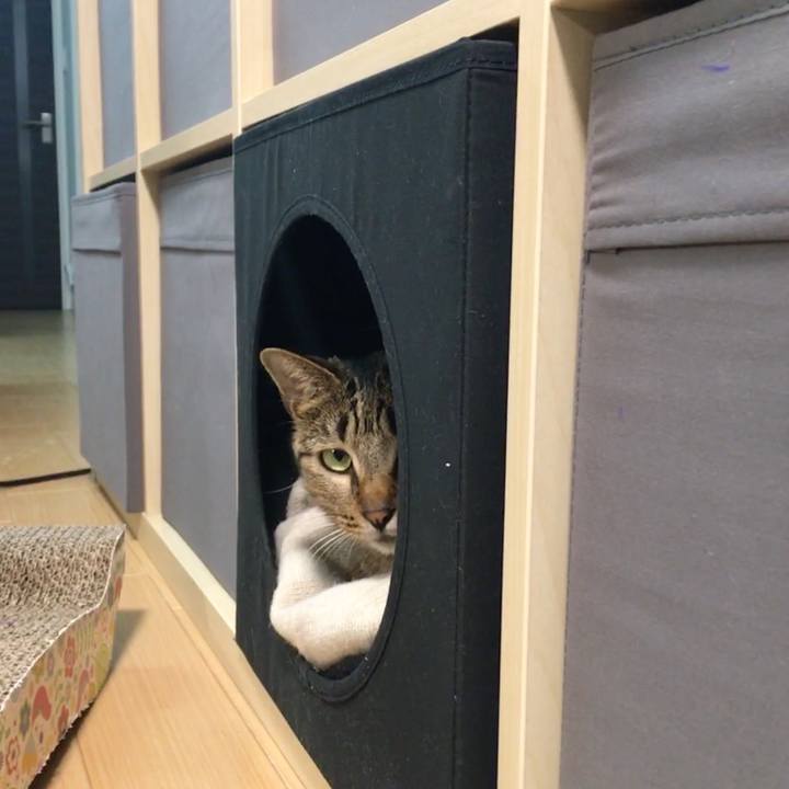 E8d28c72 c663 455e 919d e4149de2a937 1519392063844