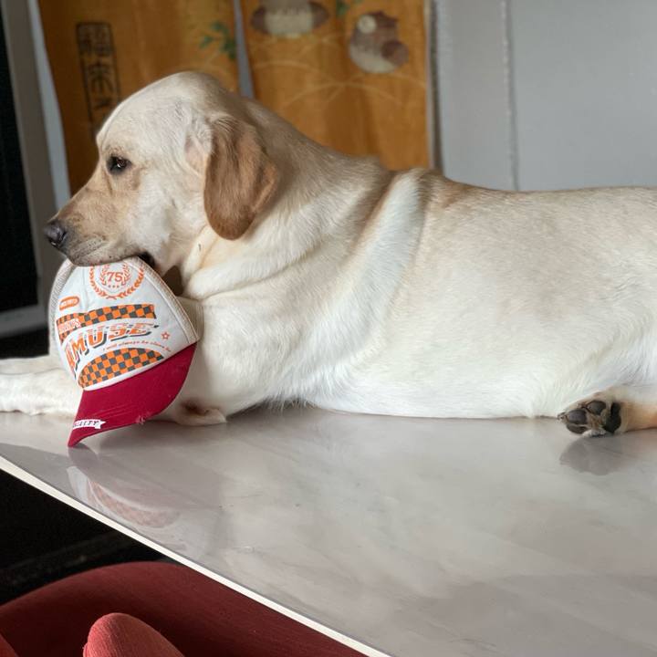 E8d2a54a 094f 49ce a2f1 3d98260a6cc5 1661225525899