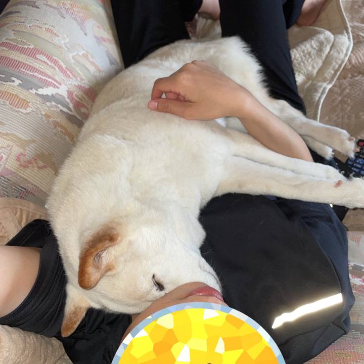 E8d2b4b8 0fa9 415f a1f0 c8a18dd24679 1636352439104