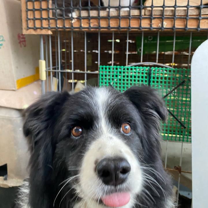 E8d2d088 217a 4c01 81b2 e98cd6127e13 1687303739244