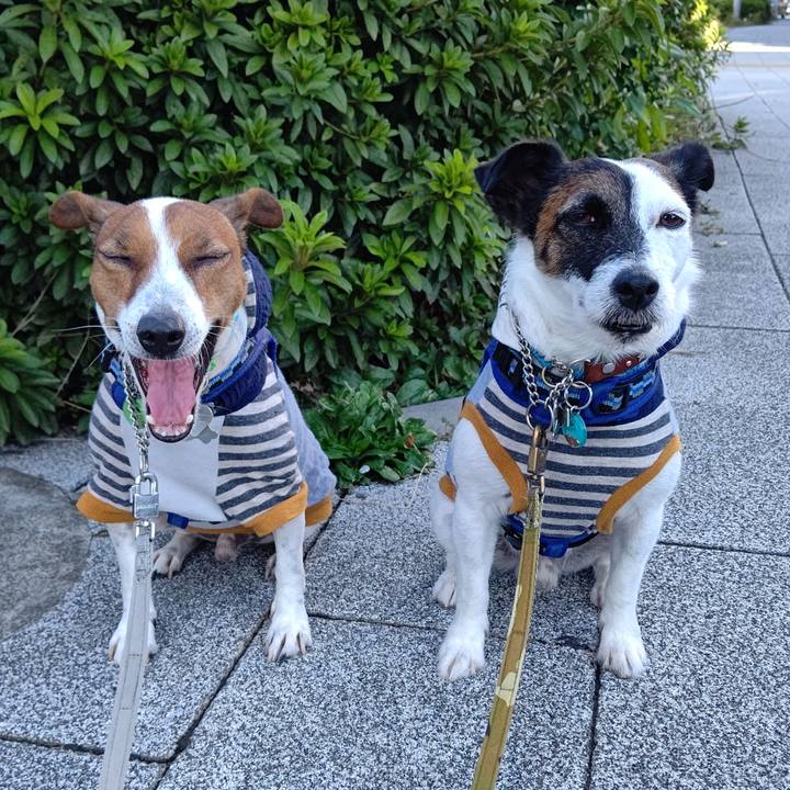 E8d2d49a c384 481c a76e 41111577452a 1633217072772