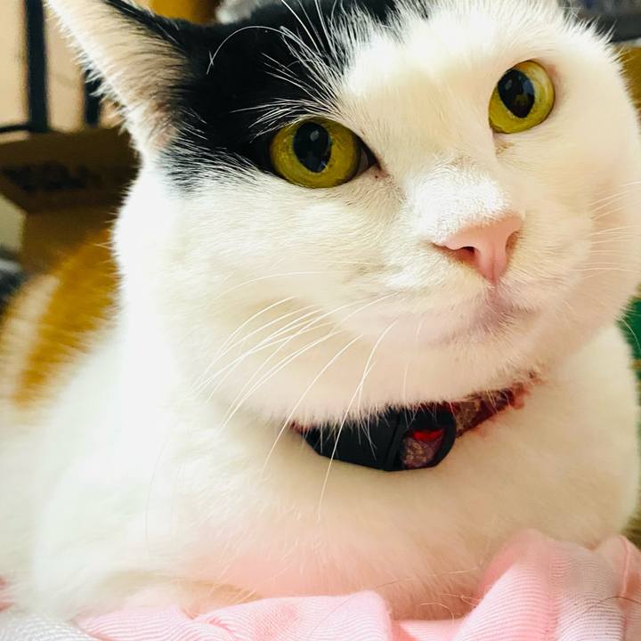 E8d2df43 7ecf 45f6 a287 b9d24785a301 1701037352575