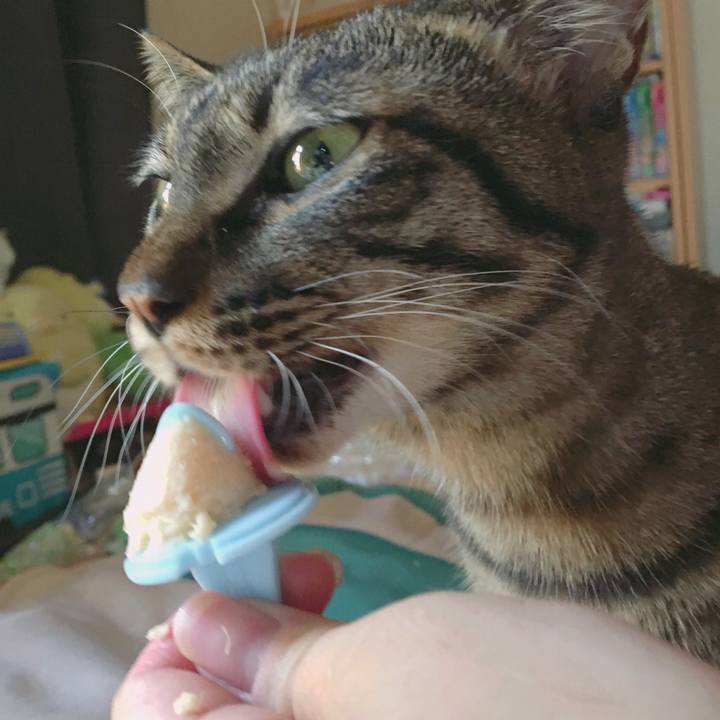 E8d2edc0 0622 4cf2 a19e 3313036ed848 1564629184757