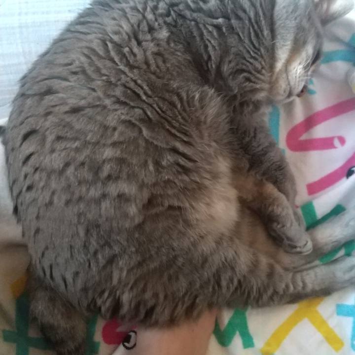 E8d358ae 46ba 46c6 9ff3 988dfede8096 1652852153439