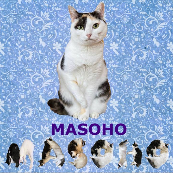 E8d36386 9823 459d bccd 6f1bb93eeb9d 1668939549046