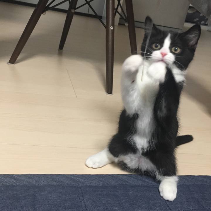 E8d3adc6 a1f5 4ba1 9bc1 400a296418a3 1528330725810