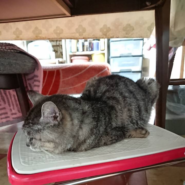 E8d3ba4c 84d2 4f7d bdbb 5551cdfa16a9 1590272653320