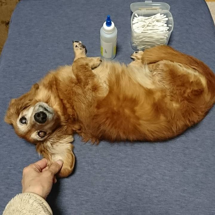 E8d3e776 8867 423f 9320 8016fbf592fb 1512107885150