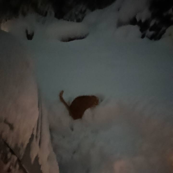 E8d41d0b d1c7 4689 9d94 8666bad3a13b 1608023724882