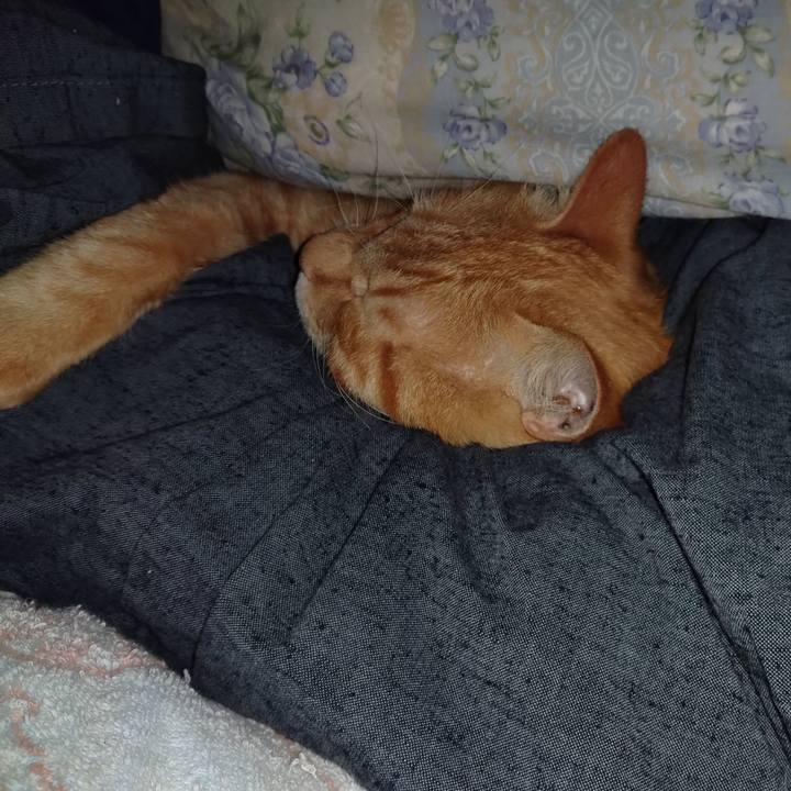 E8d43734 75e2 43da 94b0 89b24083b65c 1664987546666