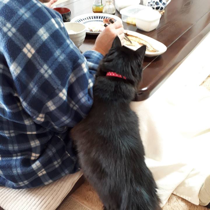 E8d43935 2158 4300 99cf 2b5a1f50c073 1518481216361