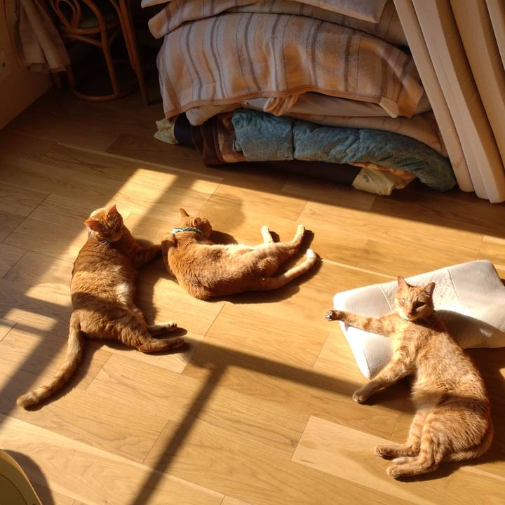 E8d4636c bd8b 4f9a 95d4 6e53a4893e9b 1737277827106