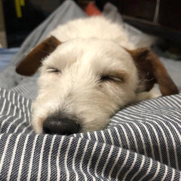 E8d4b383 3204 42c6 ac56 0e39be098e92 1546101907407