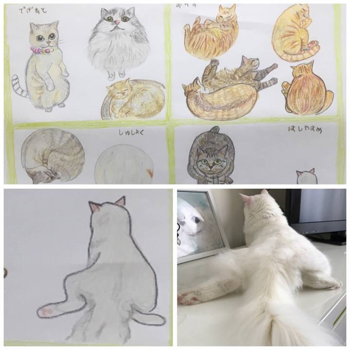 E8d4cc3b e45a 4455 9c1d adaeda891590 1544135549996