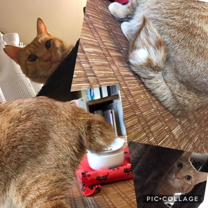 E8d4d290 5094 4785 bbbf d0adea7304e6 1588543680450