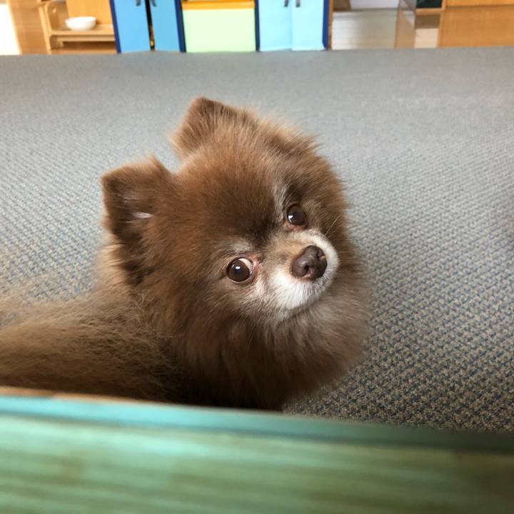 E8d4f9cb 374c 48ae 9666 c8985aab9ae0 1551054309640