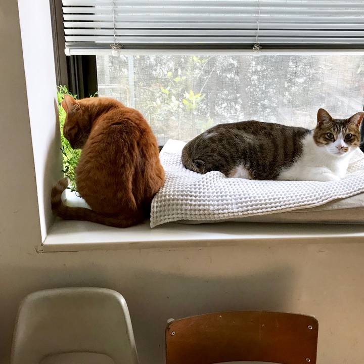 E8d57ae5 86e3 4e7e 821b 3ba4b4fd9022 1520749490463