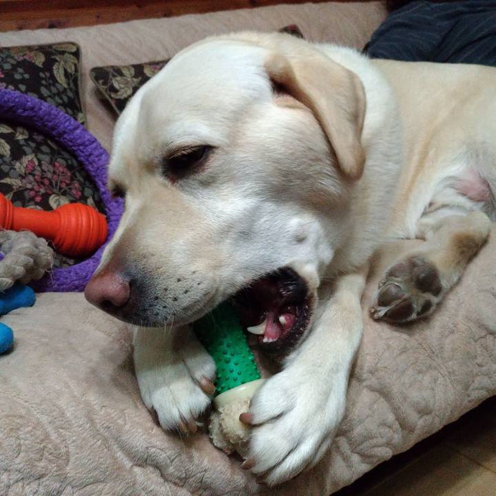 E8d57d2e 80ed 42d6 9d2a 7e0e3effad04 1554292968819