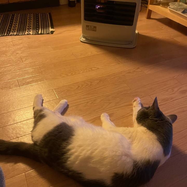 E8d57e18 2c7f 445f a4ce fd71f04c77a2 1740174783979