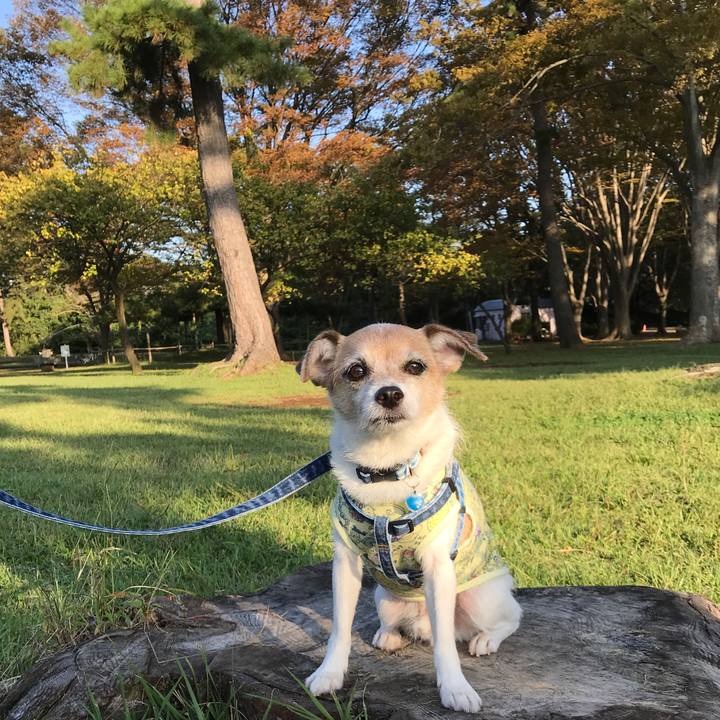 E8d58f0b 66d0 4064 a050 dddbcb6fb5c9 1633245611186