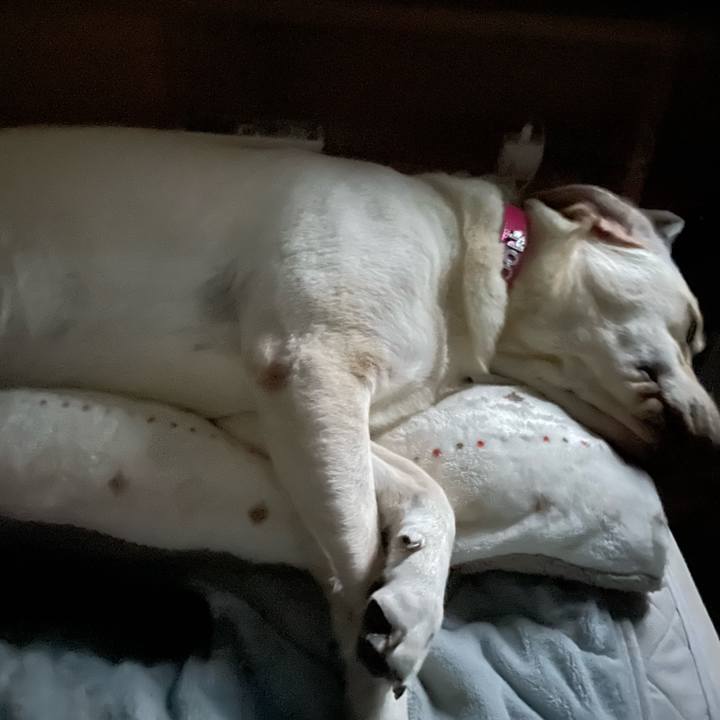 E8d5ad70 4c2e 43ed b812 a0c0905b1815 1636407834795