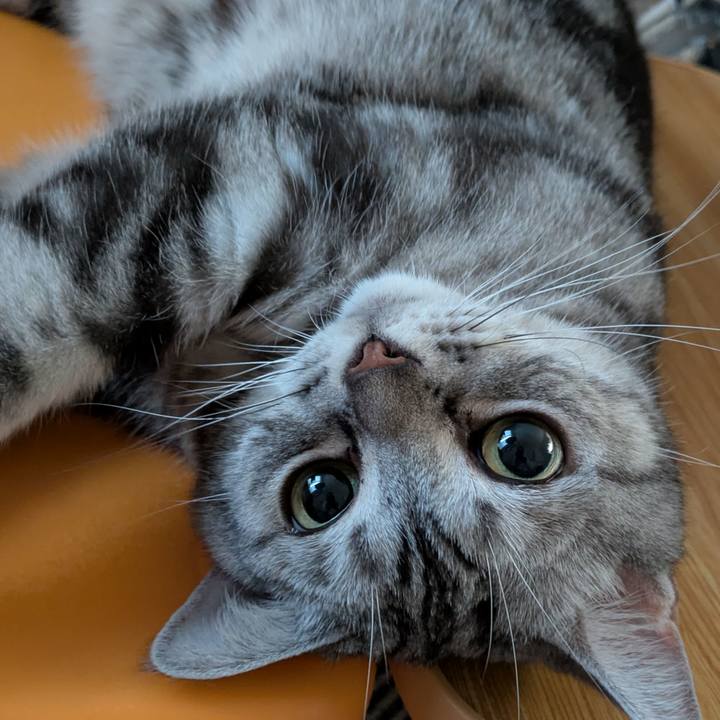 E8d65b30 76fe 4bbf 9e49 faa9e624d588 1750715091032