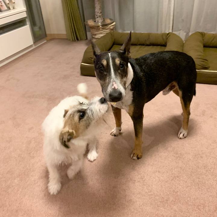 E8d6873b b067 415c b392 6ee115f0d584 1570802842257