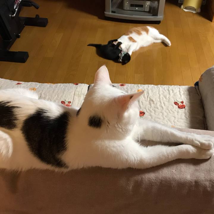 E8d691c0 c6a1 473c bace fb15f2eab363 1563361053795