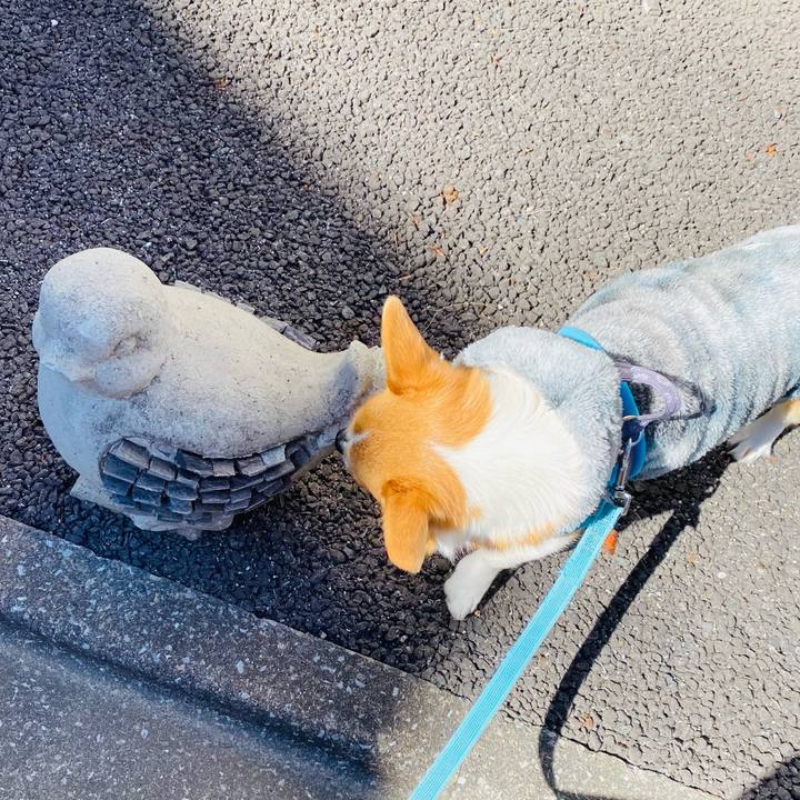 E8d713a5 3a73 498a bc18 907480e1c0a2 1644205938770