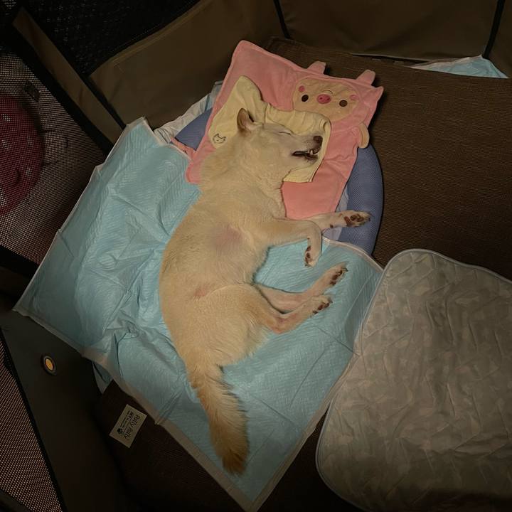 E8d72d8f 6bd0 48bf a73b 108ca3aea3d4 1665174385437