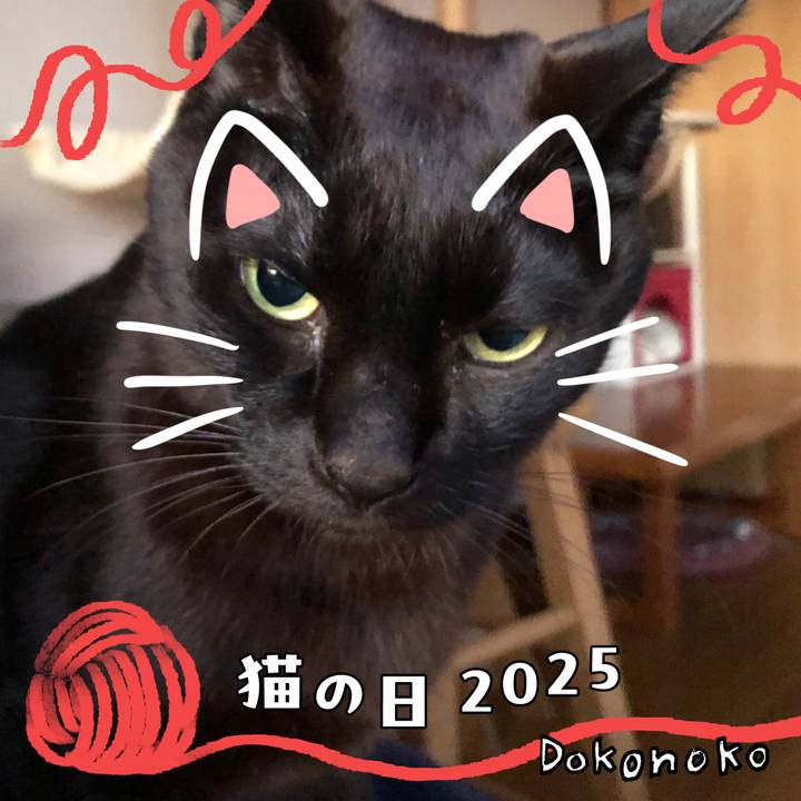 E8d77438 439f 4607 94d4 c8442e12d8b0 1740174291862