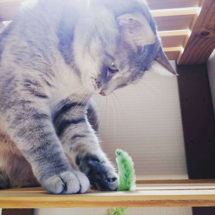 E8d80b1c ef7b 445b b78e e5340884f6c7 1552983980403