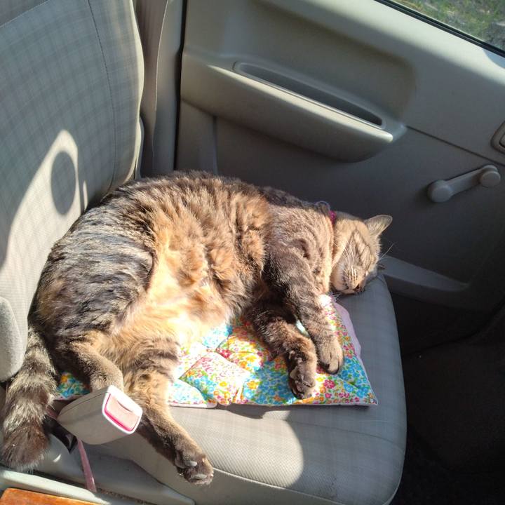 E8d80f61 77ee 4cc8 bced 83f00be3741b 1682227552773