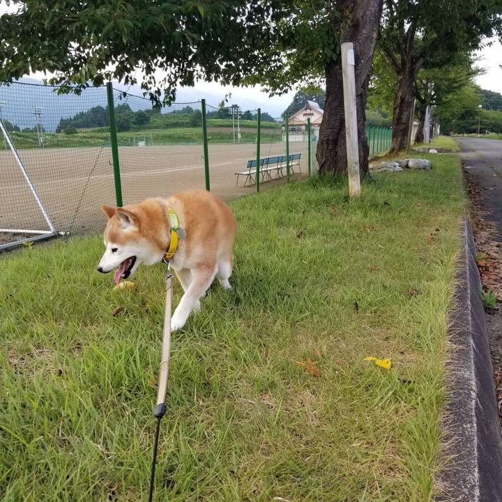 E8d81cef 9f15 4df8 889f 59ee4d624186 1691138007351