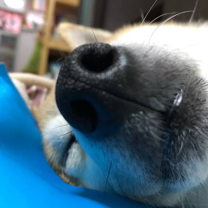 E8d81d02 207c 473a 85db 7c5bab018e15 1599023706169