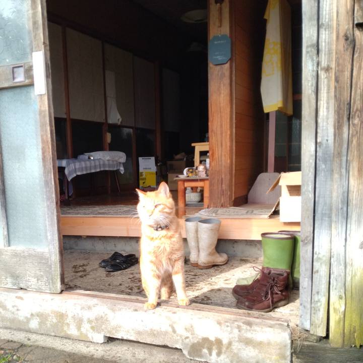 E8d829c9 c3e1 49a8 bd66 7ea55b6a6120 1670037076998