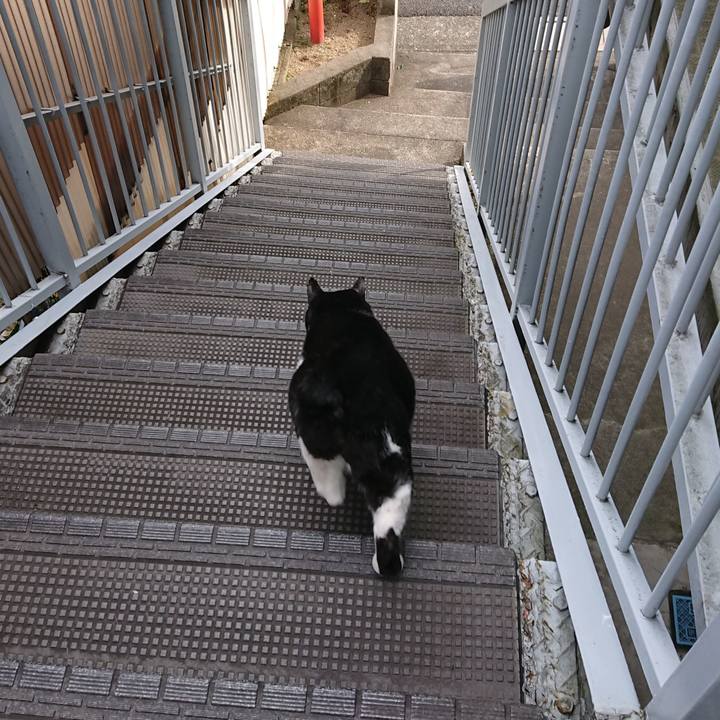 E8d8758f dc78 4267 8595 b5fcaa61b11a 1548820144425