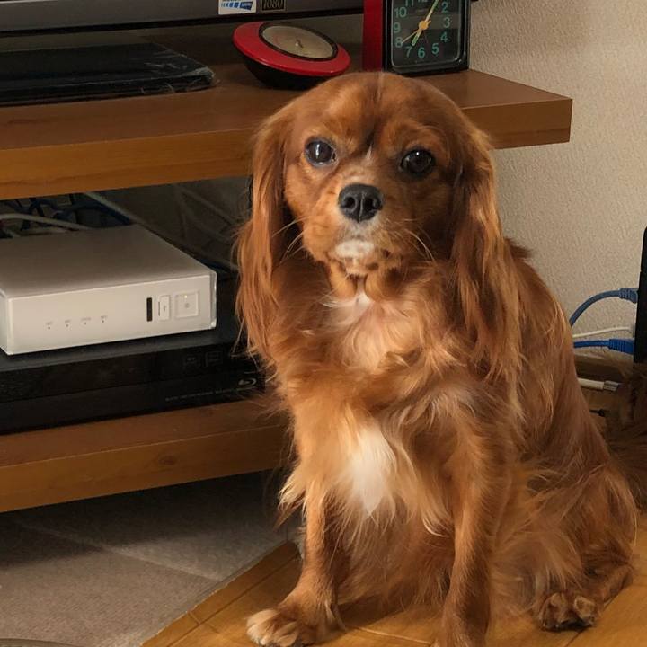 E8d89192 5540 4e8e 88e8 67a345391ace 1526941392145